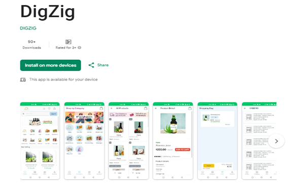 DigZig