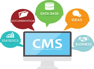 CMS-development