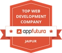 web development company